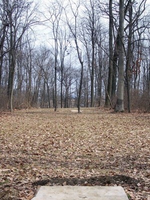 Roland Park, Main course, Hole 25 Long tee pad