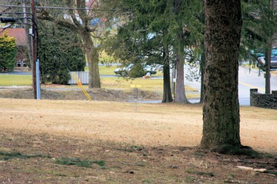 Hacketts Park, Main course, Hole 8 