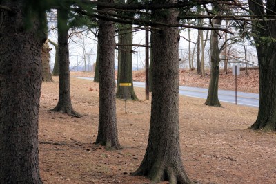 Hacketts Park, Main course, Hole 9 