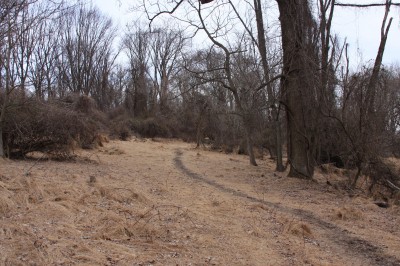 Hacketts Park, Main course, Hole 15 