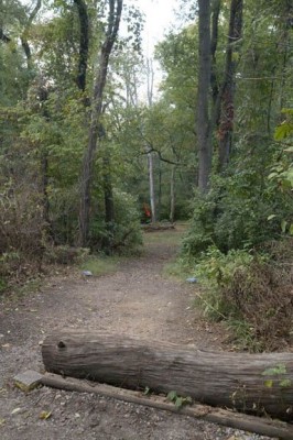 Sedgley Woods, Main course, Hole 21 Long tee pad