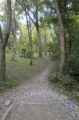 Sedgley Woods, Main course, Hole 8 Short tee pad