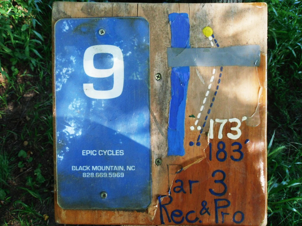 Hole 9 • Black Mountain DGC (Black Mountain, NC) Disc Golf Courses