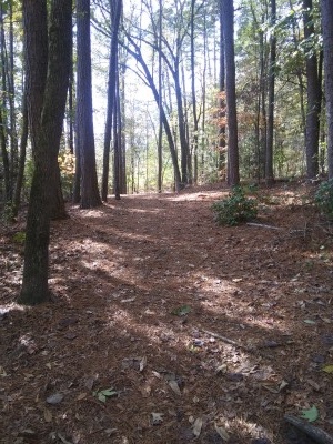 University of North Carolina, Main course, Hole 9 Long tee pad