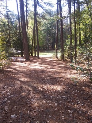 University of North Carolina, Main course, Hole 6 Long tee pad