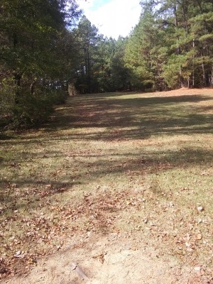 University of North Carolina, Main course, Hole 11 Long tee pad