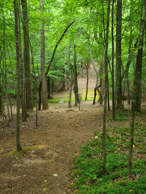 Valley Springs Park, Main course, Hole 19 Reverse (back up the fairway)