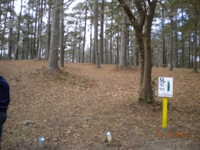 Glenburnie Park, Main course, Hole 6 Tee pad