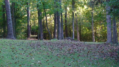 Glenburnie Park, Main course, Hole 15 Midrange approach