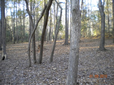 Glenburnie Park, Main course, Hole 13 Reverse (back up the fairway)