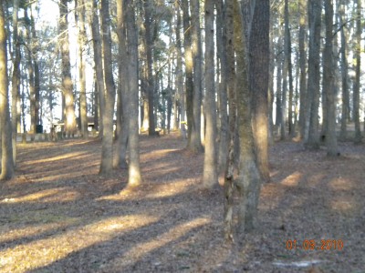 Glenburnie Park, Main course, Hole 14 Long approach