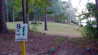 Glenburnie Park, Main course, Hole 8 Long tee pad