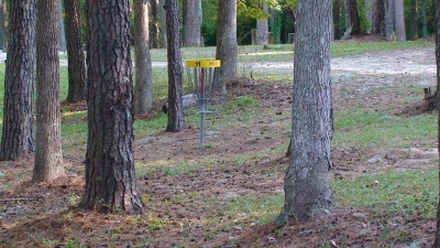 Glenburnie Park, Main course, Hole 11 Putt