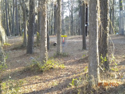 Glenburnie Park, Main course, Hole 11 Short approach