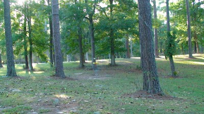 Glenburnie Park, Main course, Hole 4 Midrange approach