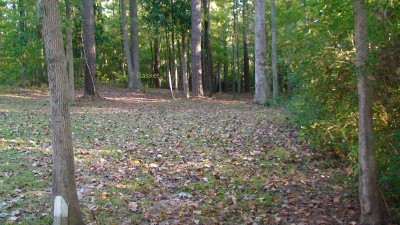 Glenburnie Park, Main course, Hole 13 Short tee pad