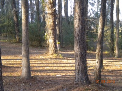 Glenburnie Park, Main course, Hole 10 Long approach