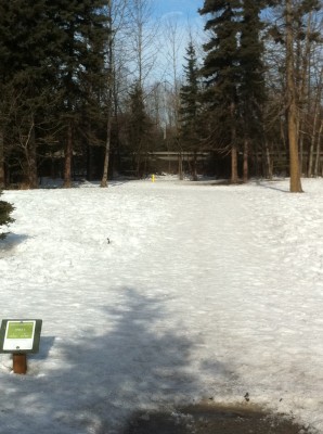 Westchester Lagoon Park, Main course, Hole 2 Tee pad