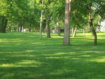 Hole 1 • South Park (Hutchinson, MN) | Disc Golf Courses | Disc Golf Scene