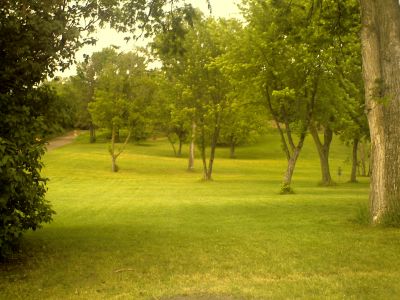 Bassett Creek Park, Main course, Hole 11 Tee pad