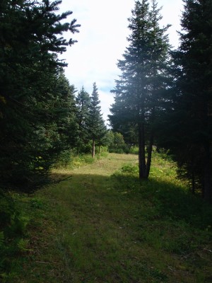 The Moose Pretzel, Main course, Hole 13 Tee pad