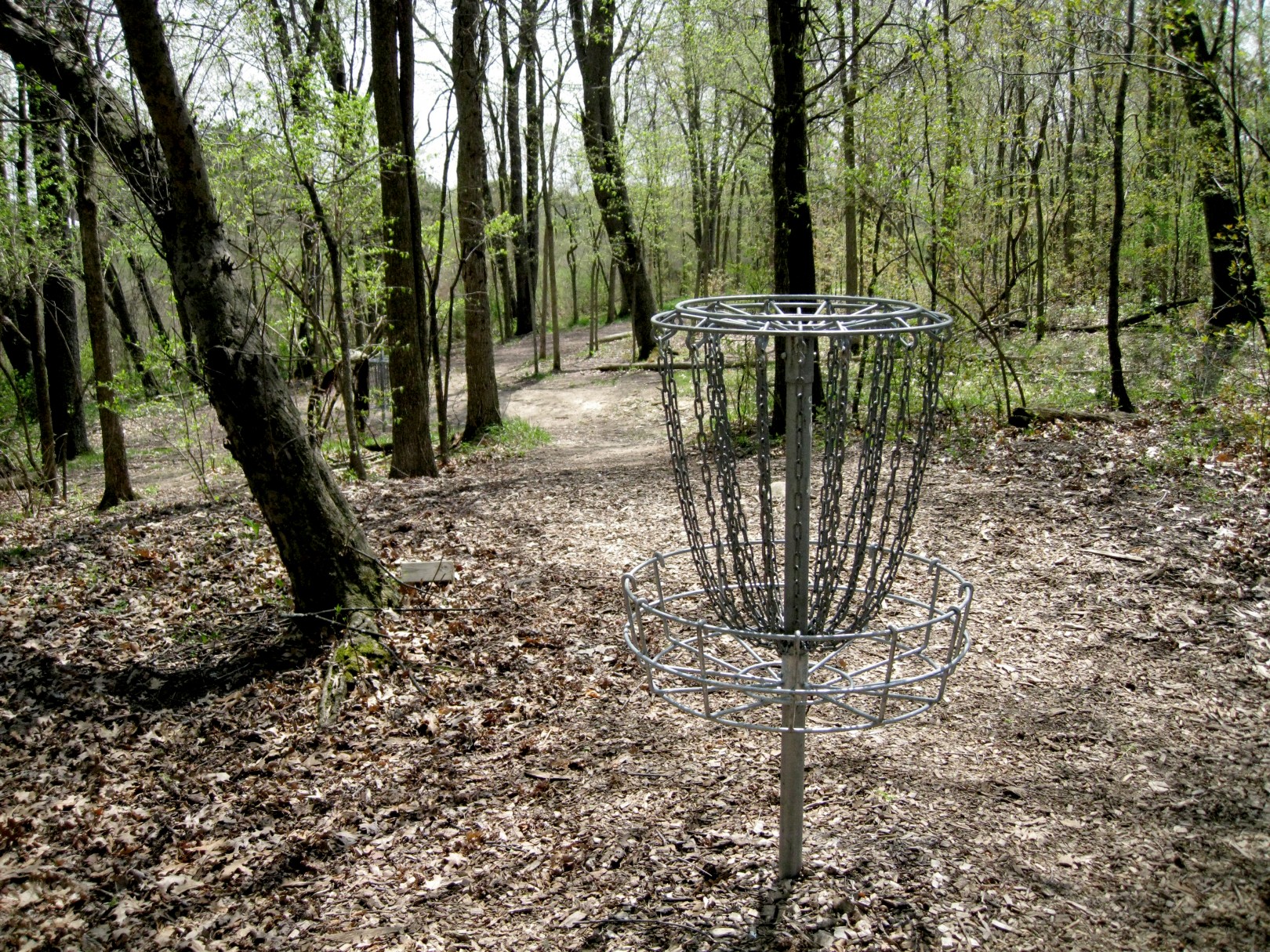 Hole 1 • Aant'iyeik Park (Juneau, AK) Disc Golf Courses Disc Golf Scene
