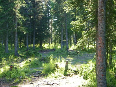 Kenai Eagle, Main course, Hole 10 Midrange approach