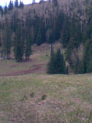 Arizona Snowbowl, Main course, Hole 18 Reverse (back up the fairway)