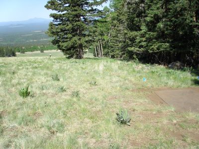 Arizona Snowbowl, Main course, Hole 8 Tee pad