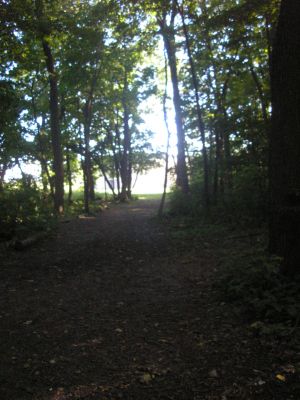 University of Wisconsin Parkside, East - NO LONGER AVAILABLE, Hole 14 Long approach