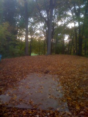 Silver Creek Park, Main course, Hole 18 Long tee pad