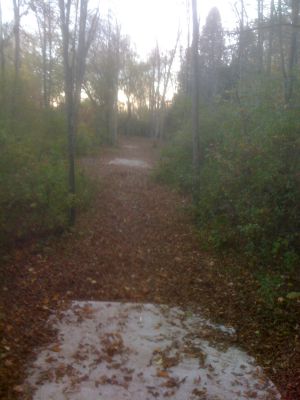 Silver Creek Park, Main course, Hole 17 Long tee pad