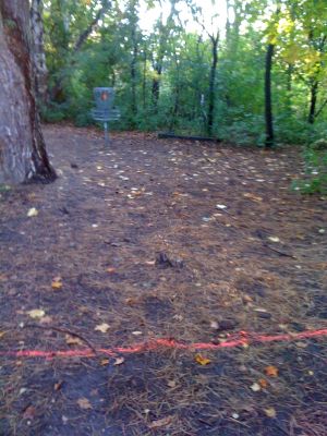 Brown Deer Park, Main course, Hole 14 Putt