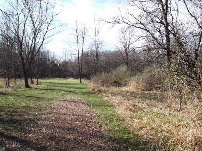 Quarry Park, Main course, Hole 11 Short tee pad