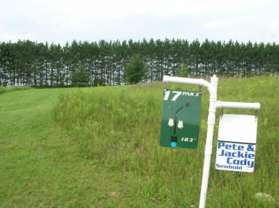 Sugar Camp DGC, Main course, Hole 17 Tee pad