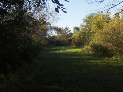 Big Creek State Park, Main course, Hole 2 Tee pad