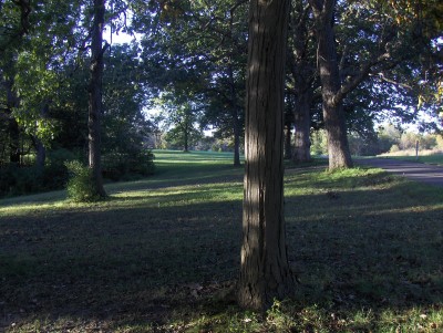 Big Creek State Park, Main course, Hole 15 Tee pad