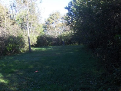 Big Creek State Park, Main course, Hole 4 Midrange approach