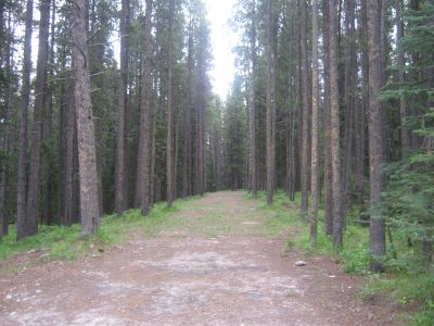 Canmore Nordic Centre, Main course, Hole 11 Tee pad