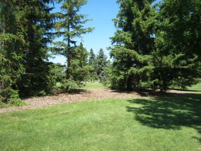 Nicholas Sheran Park, Main course, Hole 6 Middle tee pad