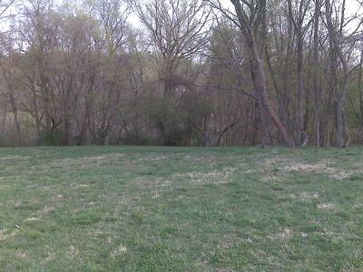 Brandywine Creek State Park, Main course, Hole 6 Short approach