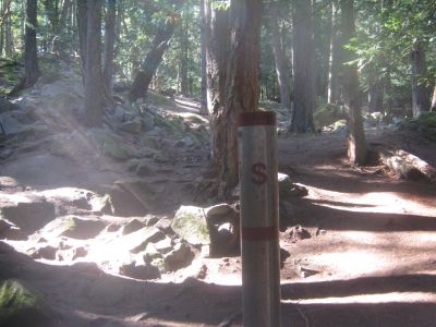 Pender Island Disc Park, Main course, Hole 5 Reverse (back up the fairway)