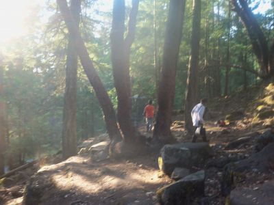 Pender Island Disc Park, Main course, Hole 27 Short approach