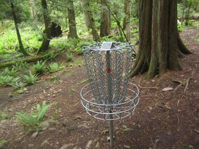 Pender Island Disc Park, Main course, Hole 20 