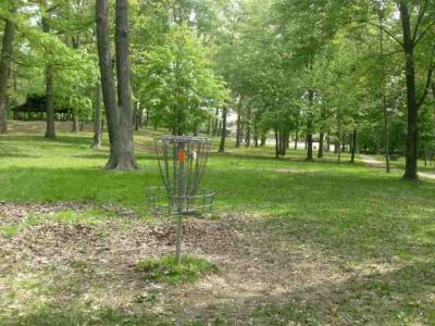 Mohawk DGC, Main course, Hole 12 Alternate pin (reverse)