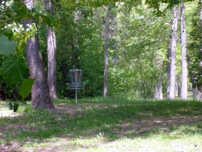 Mohawk DGC, Main course, Hole 15 Short tee pad