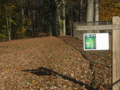 Mohawk DGC, Main course, Hole 15 Tee pad