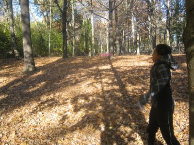 Mohawk DGC, Main course, Hole 15 Short approach