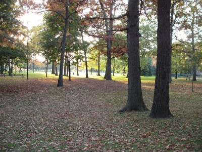 Mohawk DGC, Main course, Hole 3 Long approach