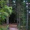 Picture of Hole_2